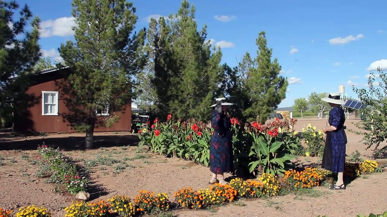 Les Mennonites du Mexique cherchent un nouveau refuge