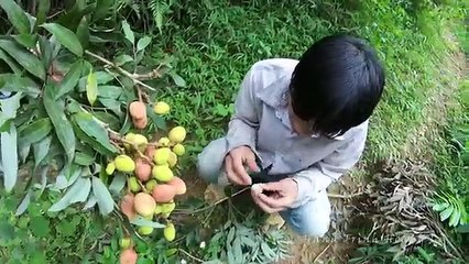 HOA QUẢ RỪNG, CÁ VÀ SUỐI ✦ NHẬT KÍ RỪNG GIÀ ✦ TẬP 11