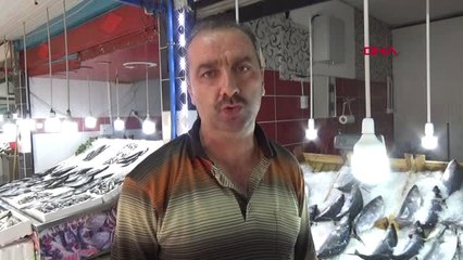 Ordu Karadeniz'de Palamut Bolluğu Yerli Hamside Umudu Azalttı