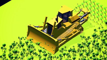 L'huile de palme : ses dangers pour la planète... et pour notre santé.