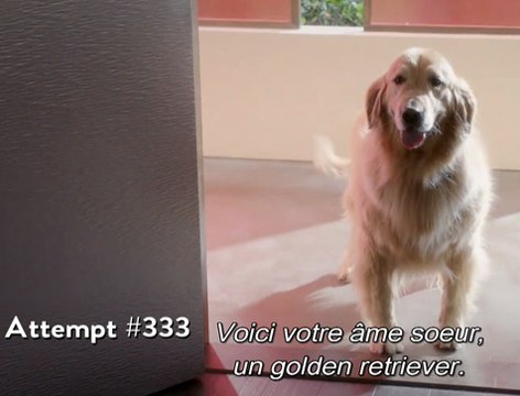 Un film sans fin - Mathieu Potte-Bonneville