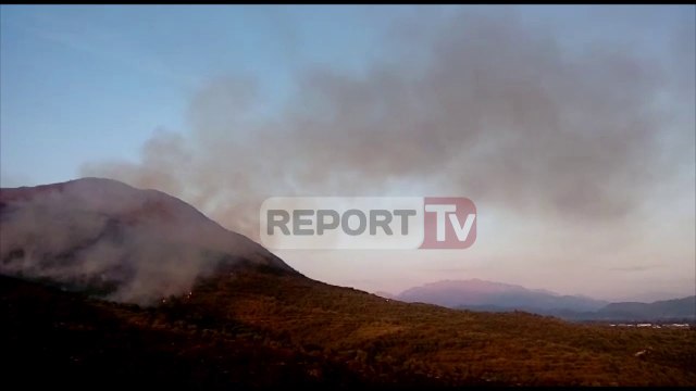 Report Tv-Zjarr masiv në ullishta në Malin e Taraboshit, rrezikohen banesat