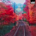 The route this train in Kyoto, Japan takes is beautiful 