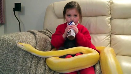 Cette fillette regarde la TV avec un serpent sur les genoux