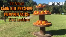 Barn Hill Preserve Pumpkin Patch 2018