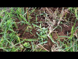 Wild Walkers Atmosphere