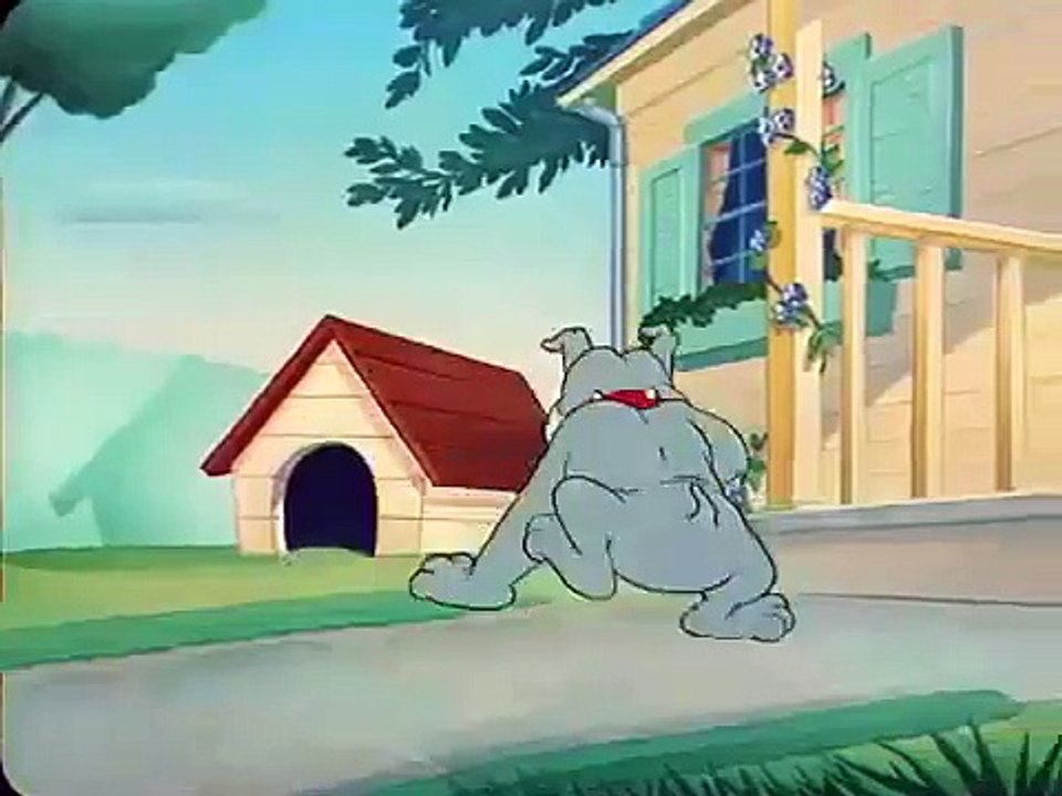 Tom and Jerry Jerry and Jumbo video Dailymotion