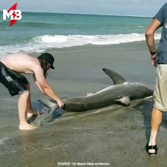 Wow, qui aurait eu le courage ?!  via OC beach vibes storyful