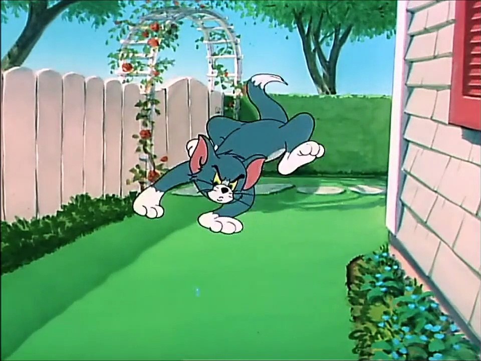 Tom and Jerry, 60 E - Slicked-up Pup (1951)