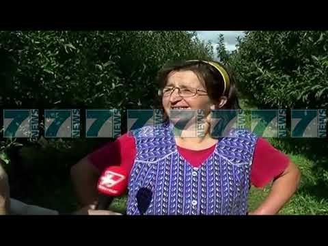 SUPERPRODHIM MOLLESH NE KORÇE, FERMERET ANKOHEN «NUK KEMI TREG» - News, Lajme - Kanali 7