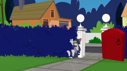 The Tom And Jerry Show E 2 - Tom And Jerry Cartoon Network mvs