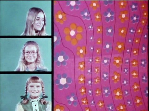 The Brady Kids E 12 - Give Me A Home Where The Panda Bears Roam And The Dog And The Mynah Bird Play