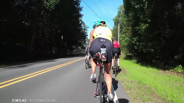 Un cerf percuté par une voiture