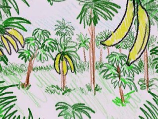 Baby Einstein 21BE WORLD ANIMALS