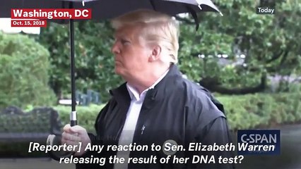 President Trump Reacts To Elizabeth Warren's DNA Test: 'Who Cares?'