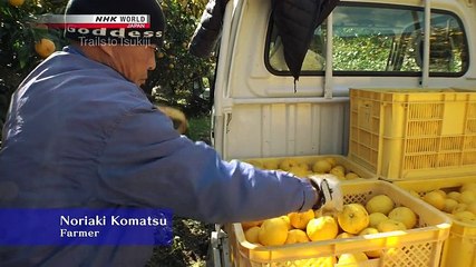 Trails To Tsukiji S03E01