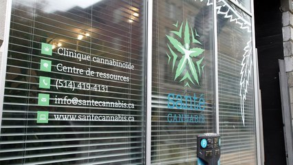 Legalizar el cannabis, desafíos de salud y seguridad en Canadá