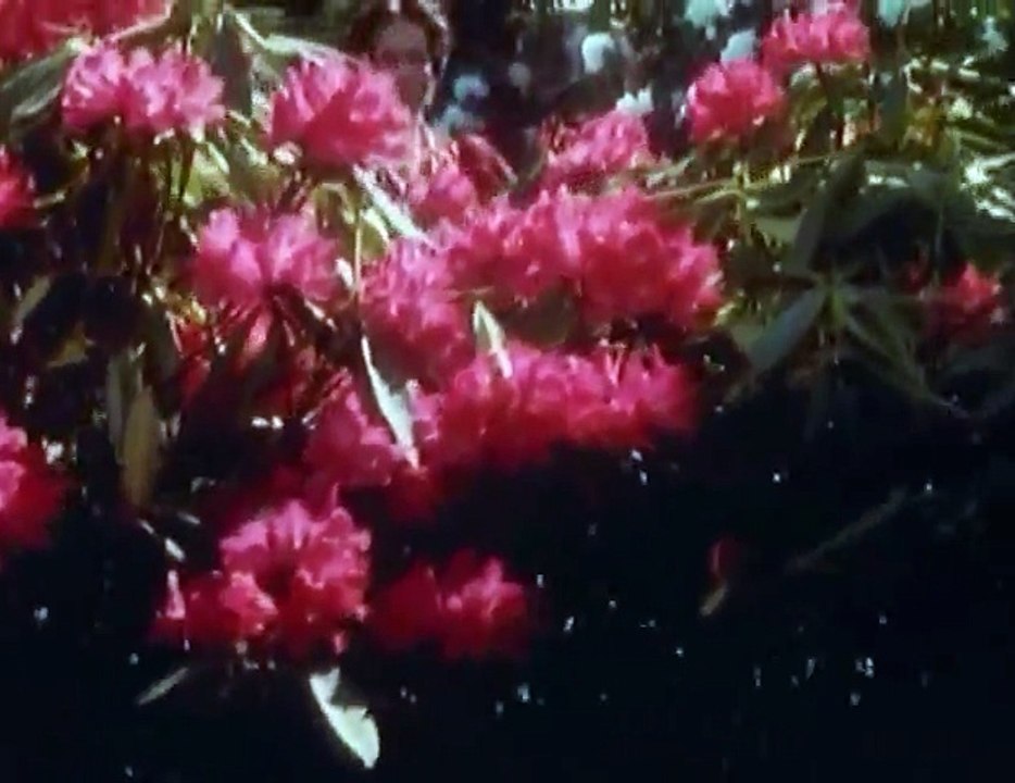 The Adventures of Sherlock Holmes S05 - Ep02 The Problem of Thor Bridge HD Watch