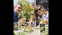 CESAR organiza el primer brunch para perros