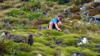 New Zealand Earth’s Mythical Islands S01 - Ep02 Wild Extremes -. Part 02 HD Watch
