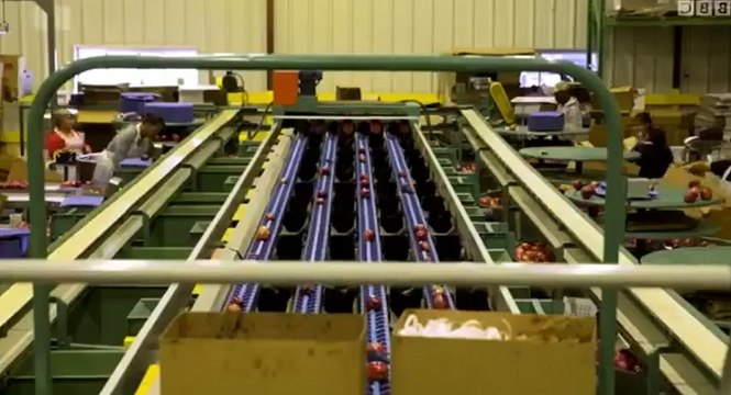 New York America's Busiest City S01 - Ep02 2 -. Part 02 HD Watch