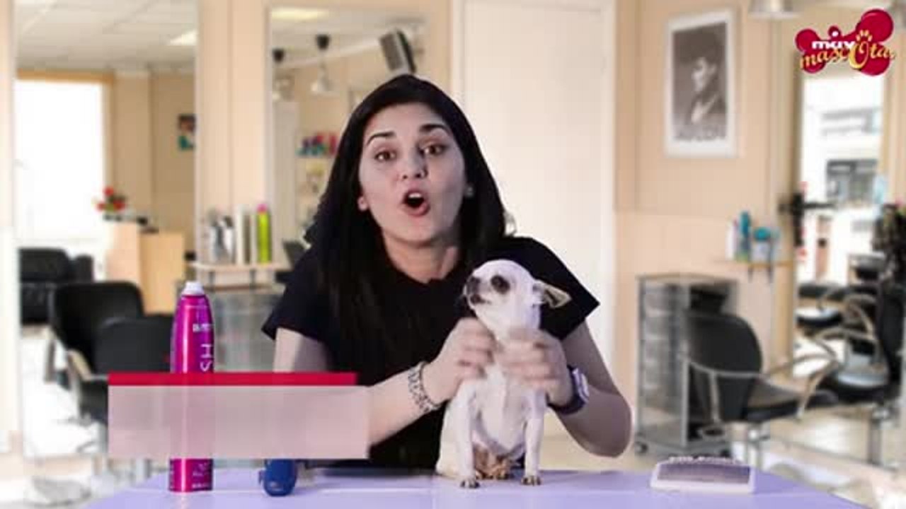 Truco para que el perro no te deje pelos en la ropa