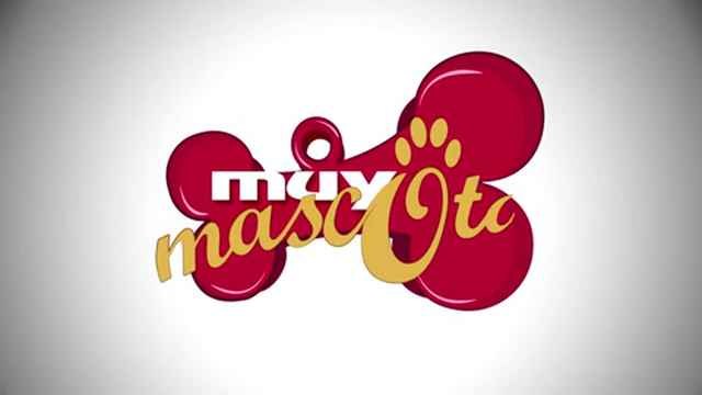 Correas. Conversaciones en el parque: collares eléctricos