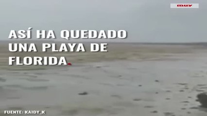 La playa sin mar