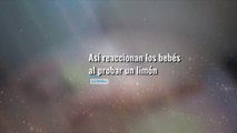 Las mejores caras de lo niños probando el limón