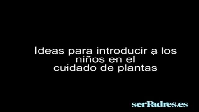 Ideas para introducir a los niños en el cuidado de las plantas