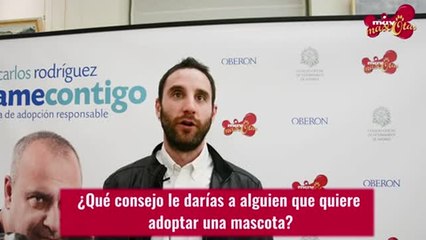 Los consejos de Dani Rovira para adoptar una mascota