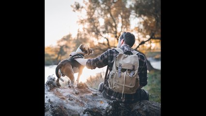 ¿Sabías que el vínculo entre un perro y su dueño es similar al de una madre y su hijo?