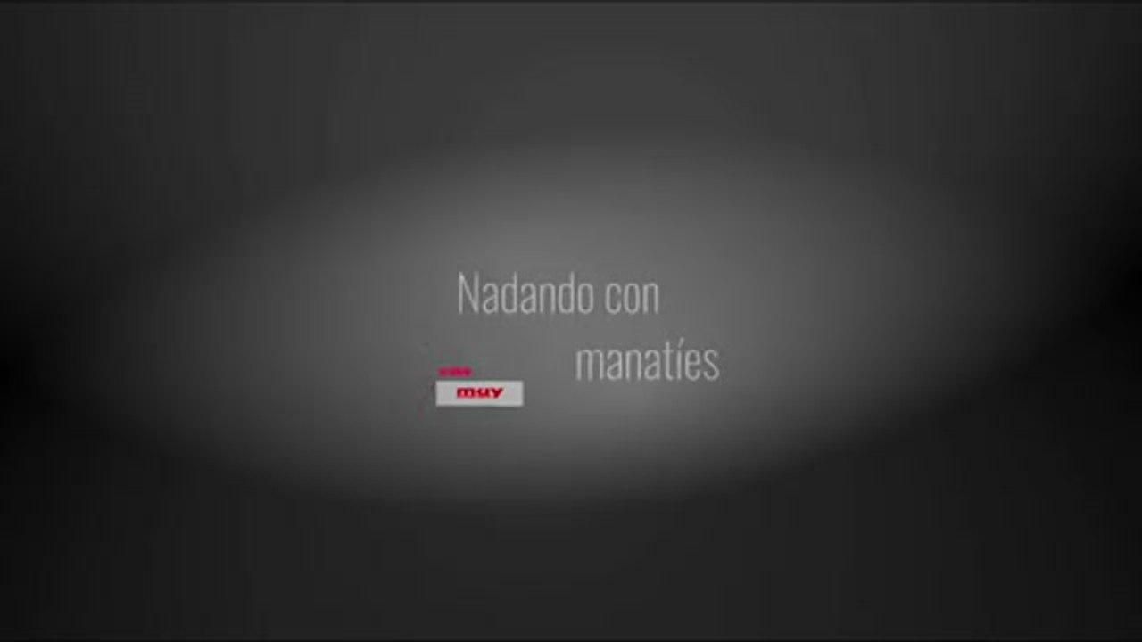 Nadando con manatíes