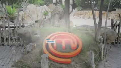 MasterChef Niños en Bioparc