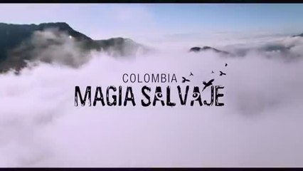 Colombia: magia salvaje