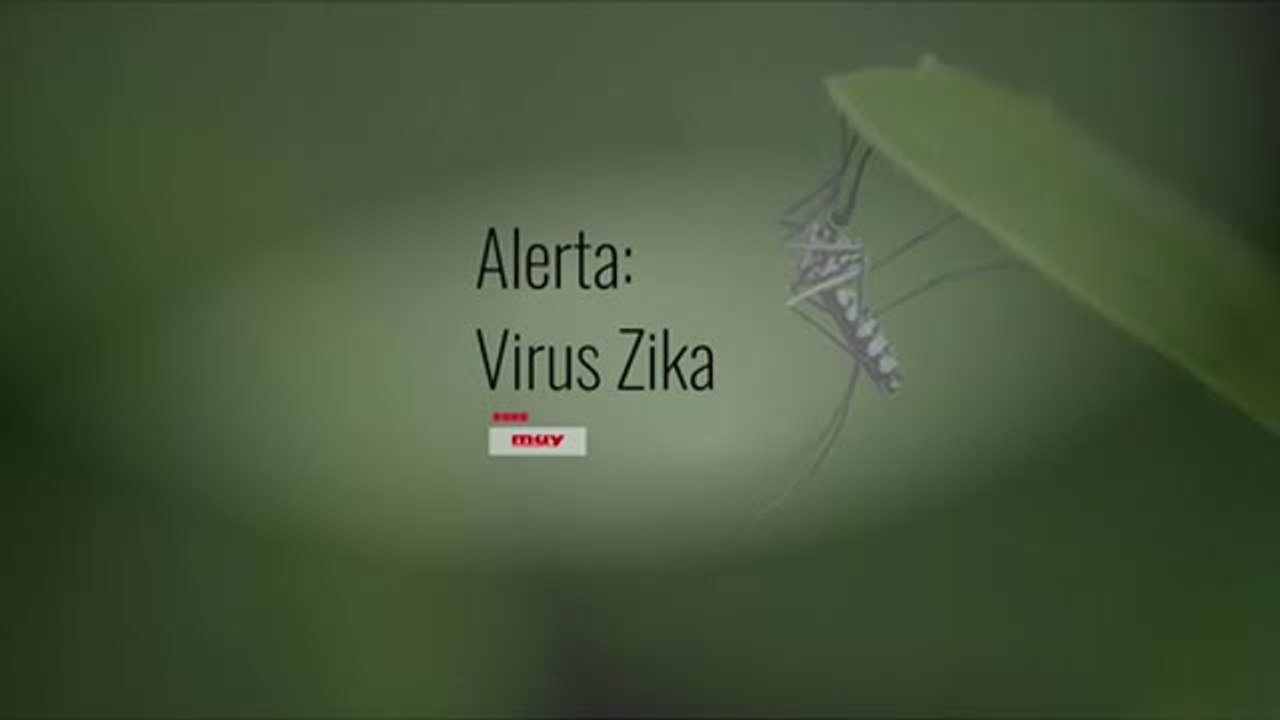 Alerta: Virus Zika