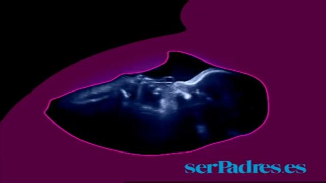 Semanas 33-36. El bebé en el vientre materno