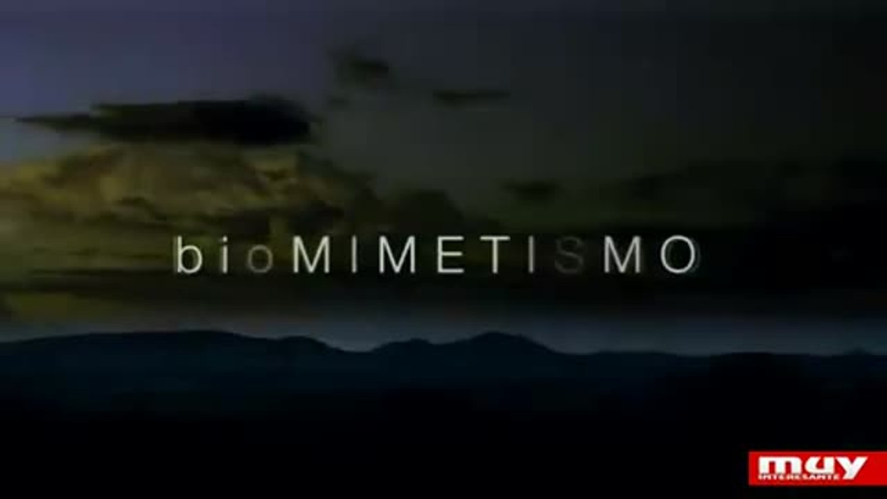 Biomimetismo 3