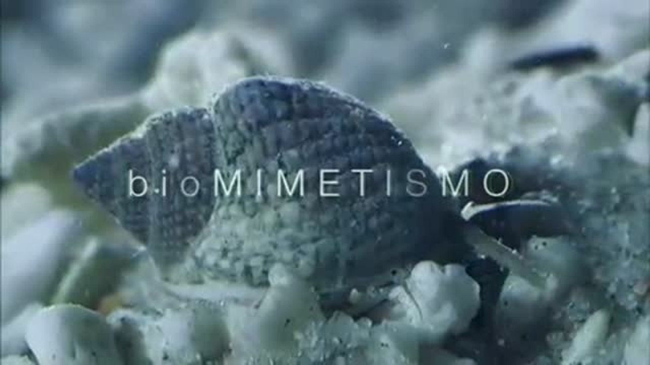 Biomimetismo 20