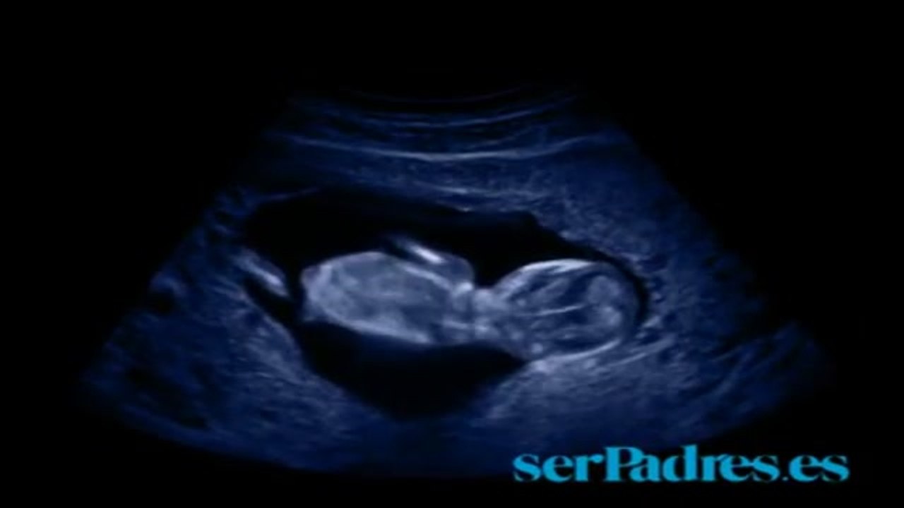 Semanas 9-12. El bebé en el vientre materno