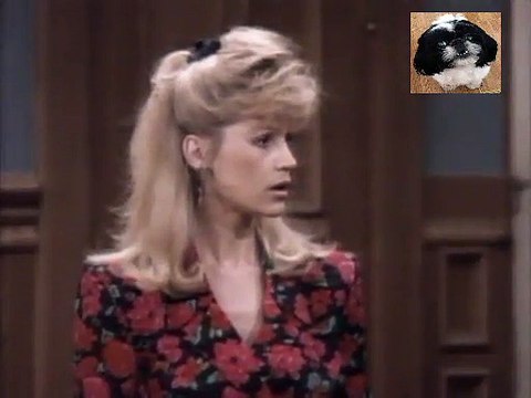 Perfect Strangers - S7 E03 This New House