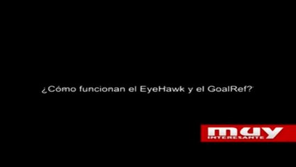 Download Video: ¿Cómo funciona la tecnología contra los goles fantasma de la FIFA?