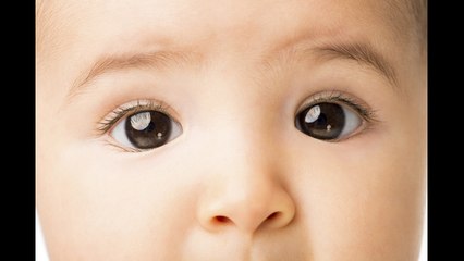 ¿Qué significa el nombre Daniela? Descubre su origen y significado 🌟