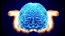 ¿El cerebro es consciente después de la muerte?
