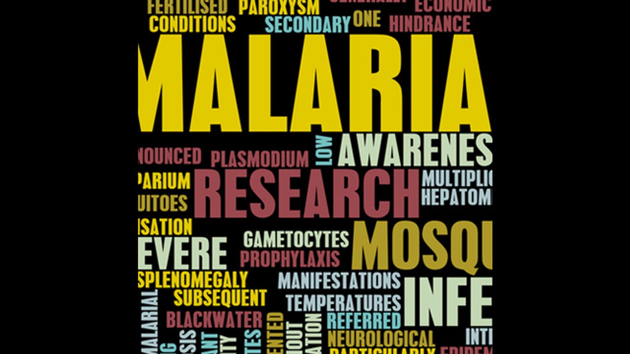 Día Mundial de la Malaria