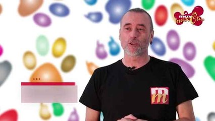 Consejos si te mudas con un gato