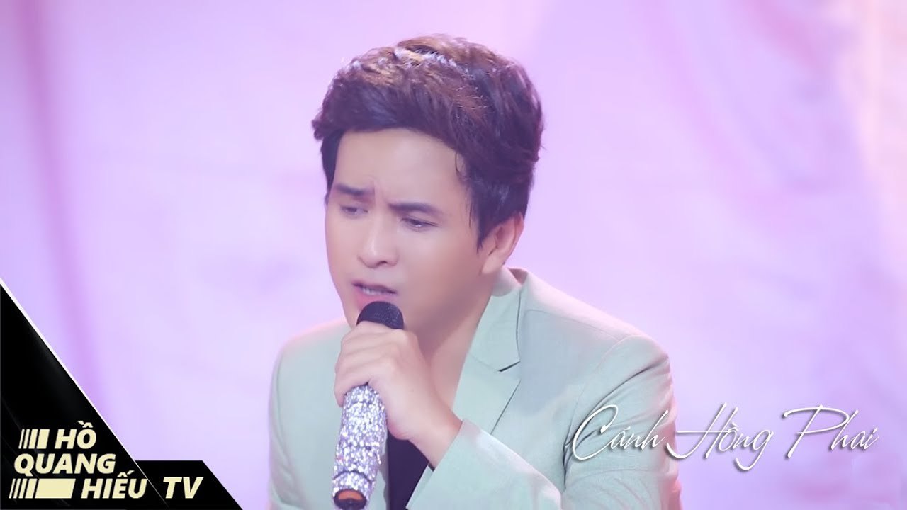 CÁNH HỒNG PHAI - PHIM CA NHẠC HỔ PHỤ NUÔI HỔ TỬ OST- HỒ QUANG HIẾU 2017