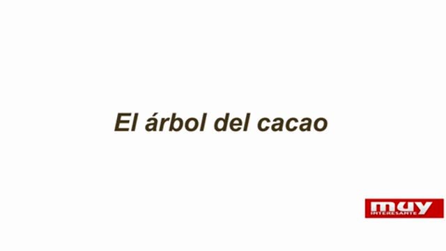 Curiosidades sobre el chocolate