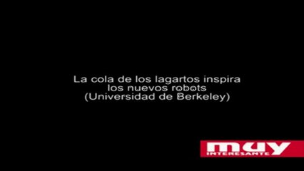 La cola de los lagartos inspira a los ingenieros de robótica