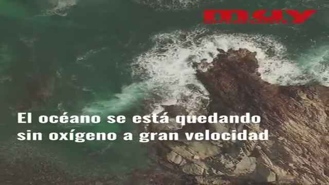 Los océanos se quedan sin oxígeno